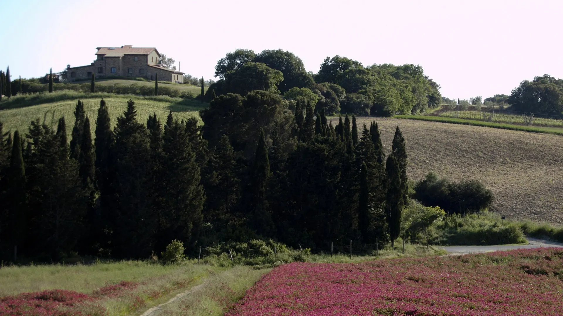 Podere Novo Bibbona Appartamento